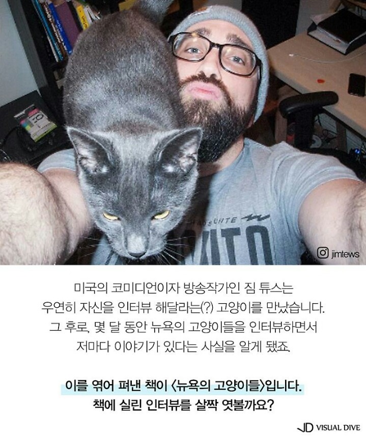 고양이를 인터뷰 한다면 | 인스티즈