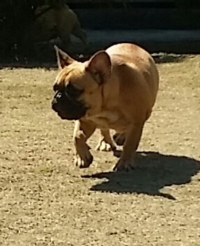 화운 이미지