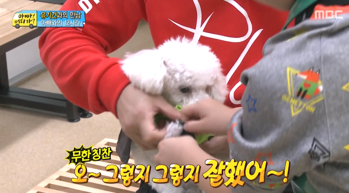 [아빠어디가] 유기견을 대하는 윤후의 태도 .jpg | 인스티즈