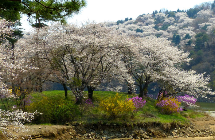 희원 이미지