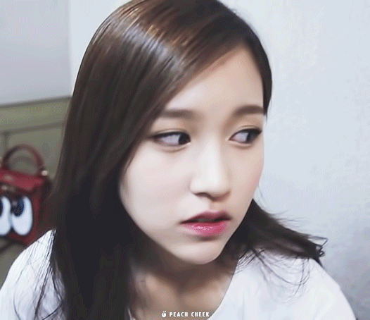 트와이스tv | 인스티즈