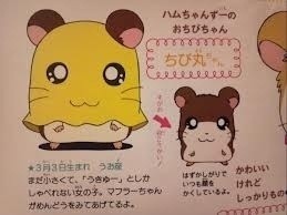 많은사람이 궁금해했던 이새끼 벗은모습 | 인스티즈