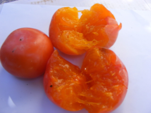 곧 있으면 먹는 호불호 과일 | 인스티즈