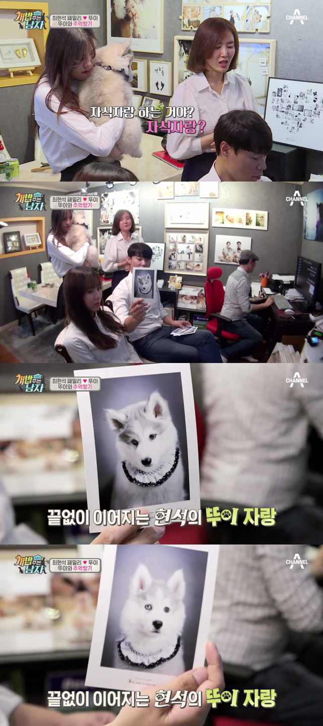 겁나 귀여운 최현석 셰프 강아지 뚜이(오드아이 시베리안 허스키).jpg | 인스티즈