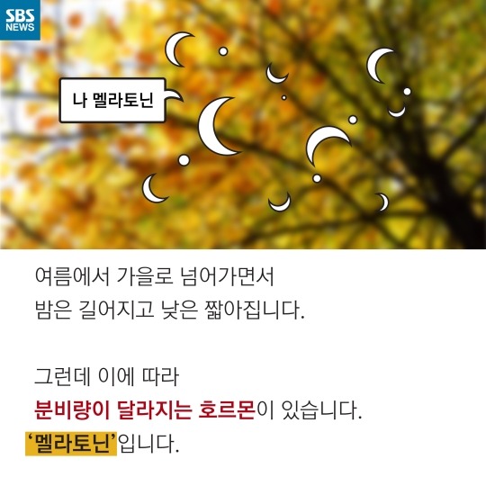 사람이 가을타는 이유 | 인스티즈