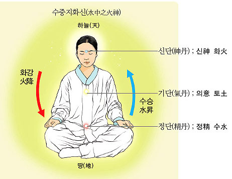 사람과 기(氣) 식품 이미지
