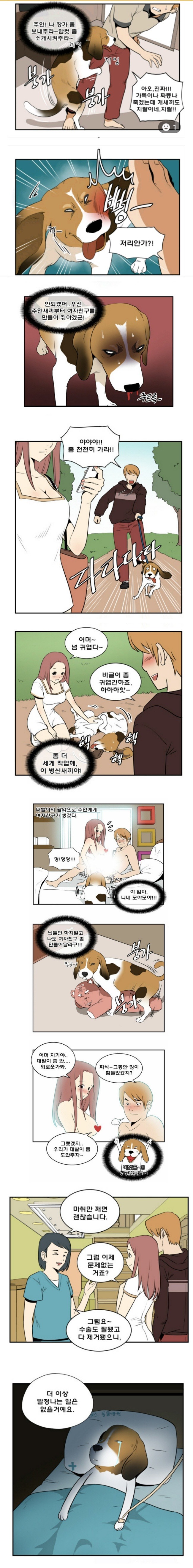 토사구팽.JPG | 인스티즈