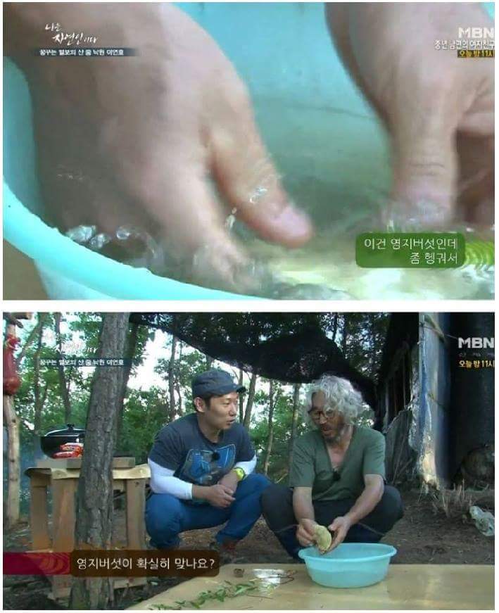 급섭외한것같은 자연인 ㅋㅋㅋㅋㅋㅋㅋ.jpg | 인스티즈
