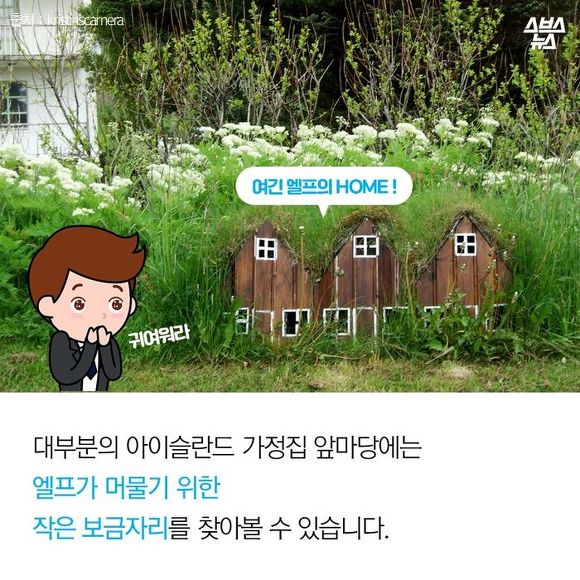  요정이랑 일촌 맺는 나라 | 인스티즈