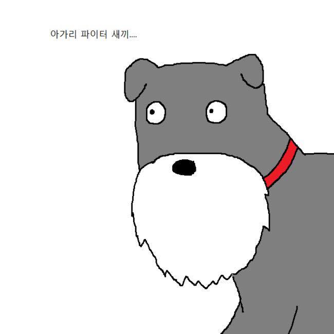 용감한 개가 주인 무시하는 만화 | 인스티즈
