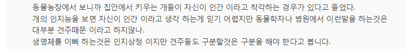 "우리 개는 안 물어요"..주인들의 착각 | 인스티즈