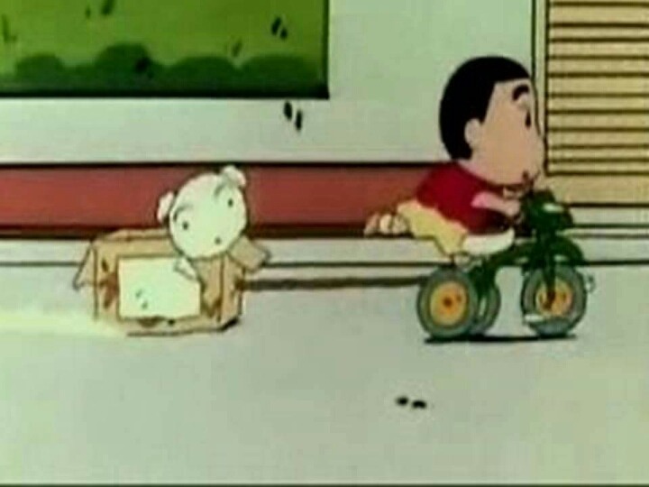 흰둥이 출생이야기 jpg | 인스티즈