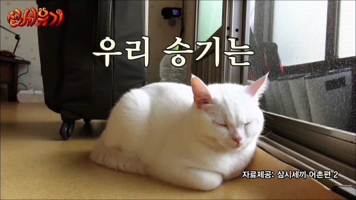 [신서유기] 방송중 욕하는 이승기ㅋㅋㅋ.jpg | 인스티즈