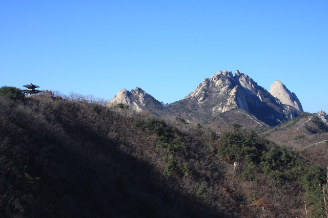 메아리 이미지