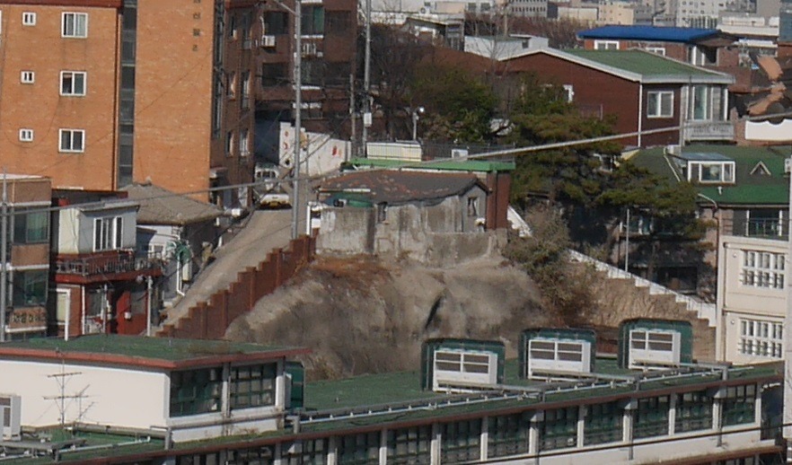 옛날의금잔디 이미지