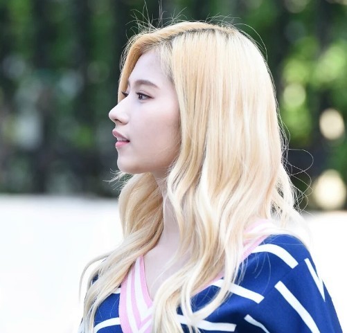 ㅎㄷㄷ한 사나 콧대 | 인스티즈