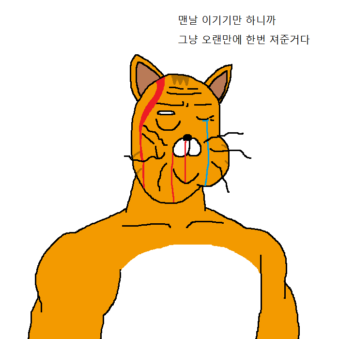 상남자 고양이의 아들 교육법 | 인스티즈