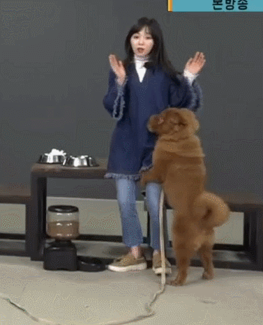 오늘자 마리텔....원맨쇼..gif | 인스티즈