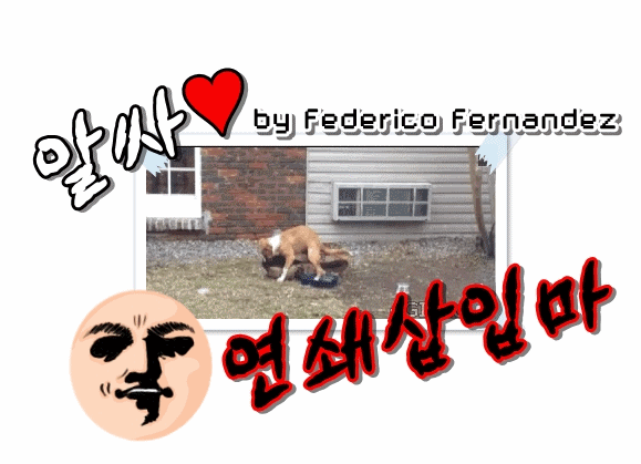 묘한 느낌의 영화 한장면 모음 14탄.gif | 인스티즈