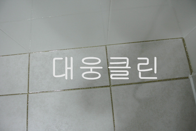 수영클린 이미지