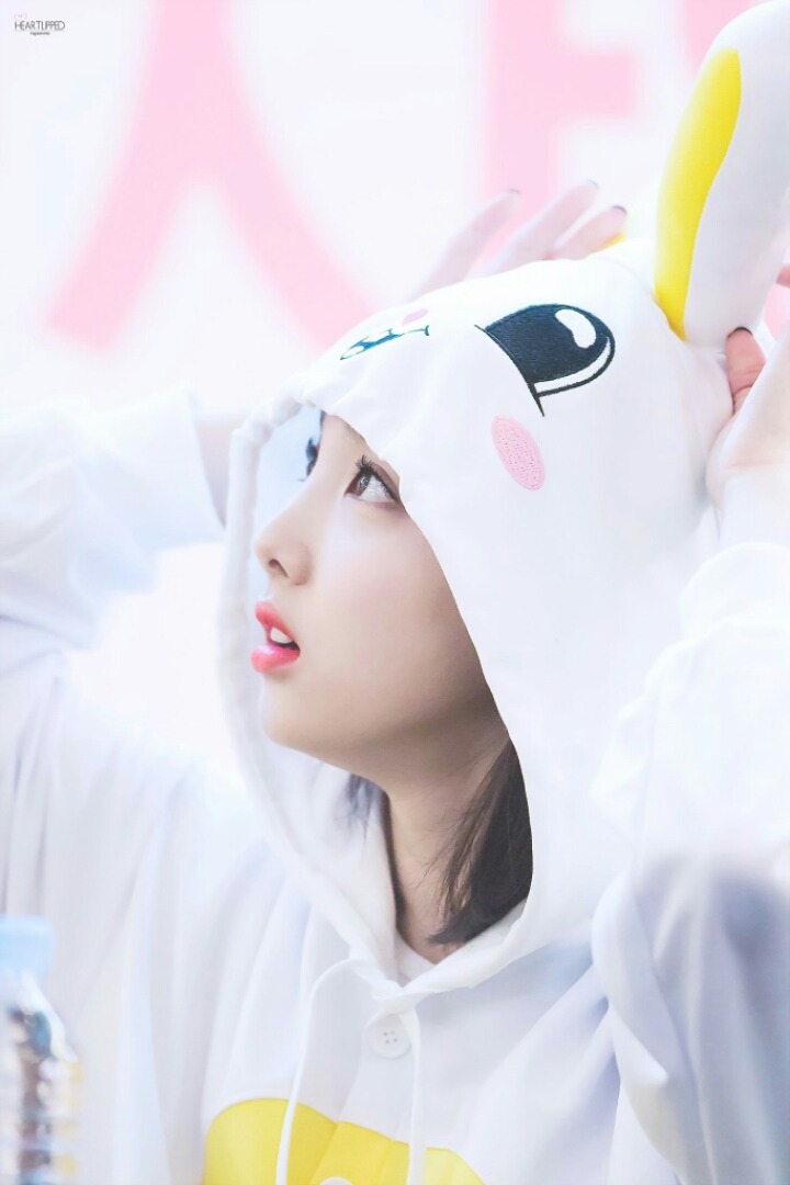 [트와이스] 혼자 앉아 있는 쭈구리 토끼 나연이(데이터주의) | 인스티즈