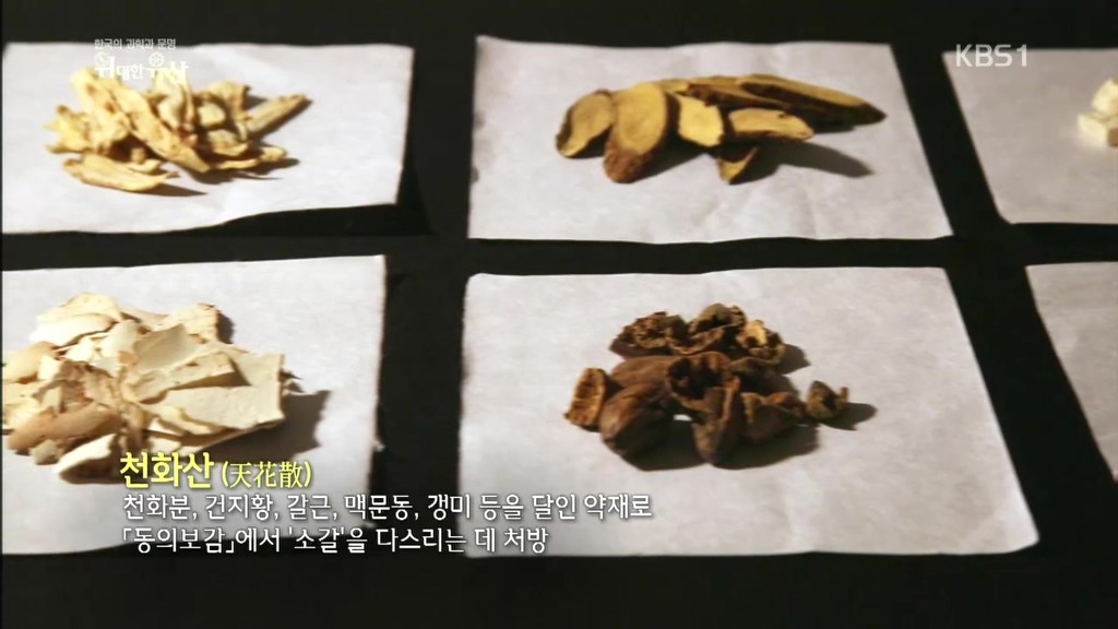 세계가 말하는 한의학과 동의보감 | 인스티즈