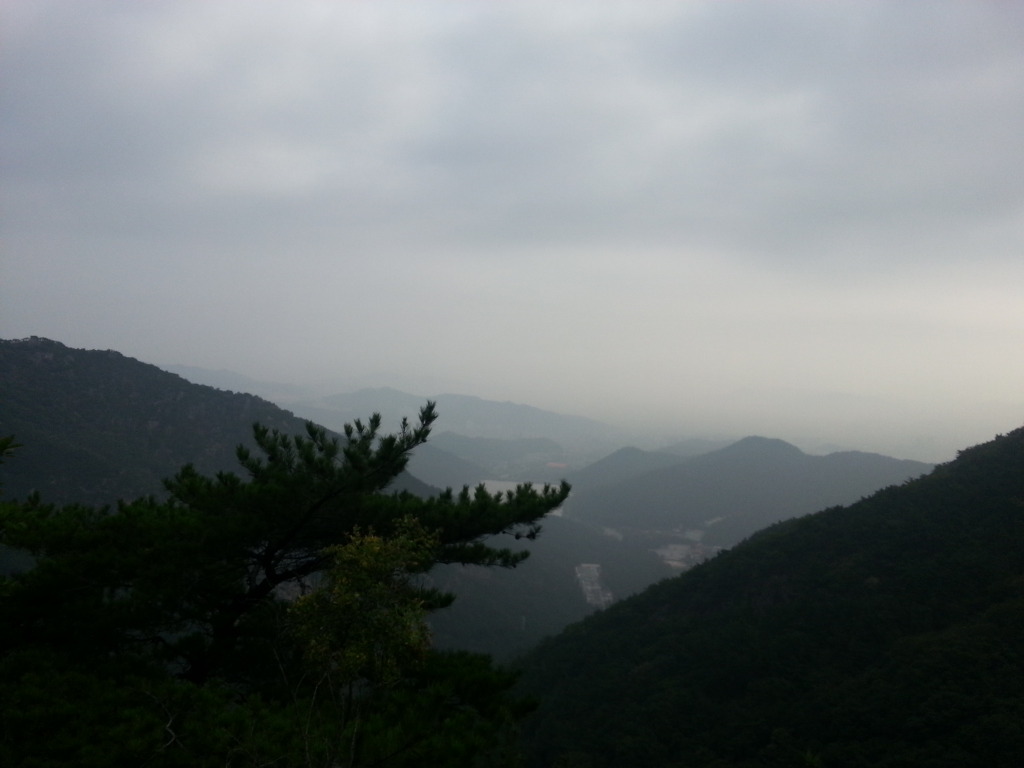 구미피티 이미지