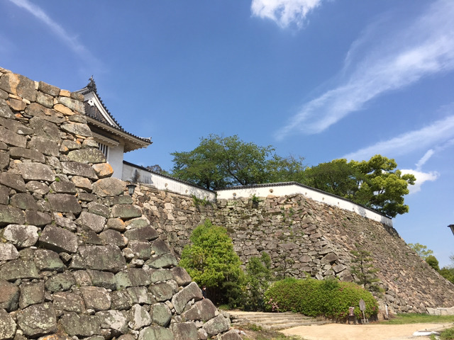 나홀로 교토여행 13박14일(6일차-2 오카야마성,고라쿠엔,구라시키미관지구) | 인스티즈