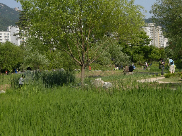 창포원 이미지