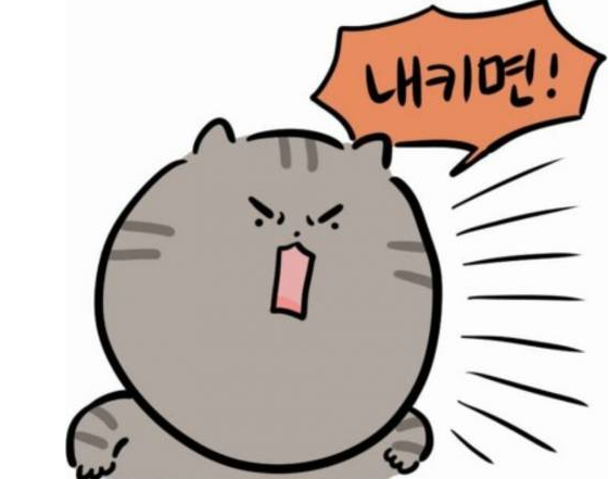 고양이와 강아지.jpg | 인스티즈