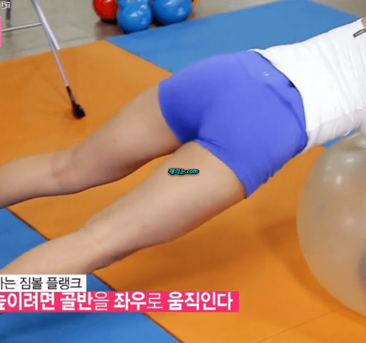 어느 트레이너 샘의 과거 | 인스티즈