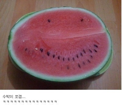 수박이 쪼갬 | 인스티즈