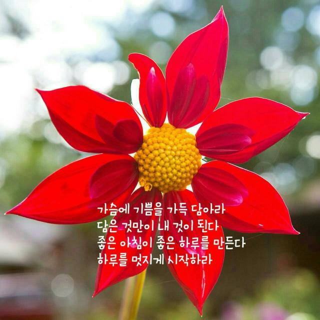 토요일 이미지