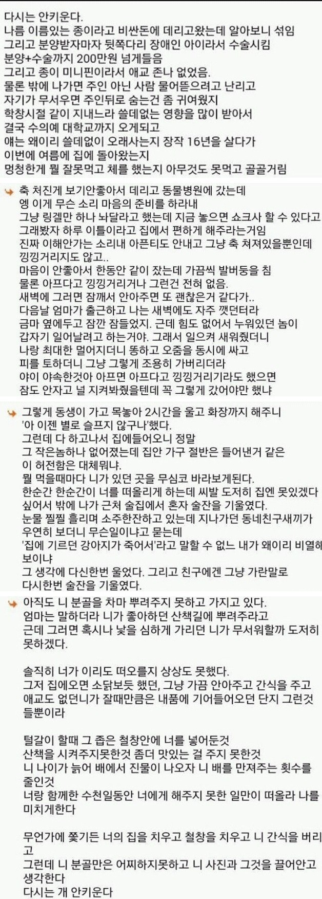 두 번 다신 강아지 안 기른다 | 인스티즈