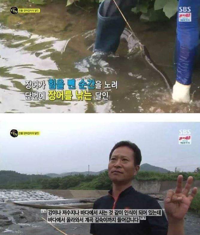 장어의 효과 | 인스티즈