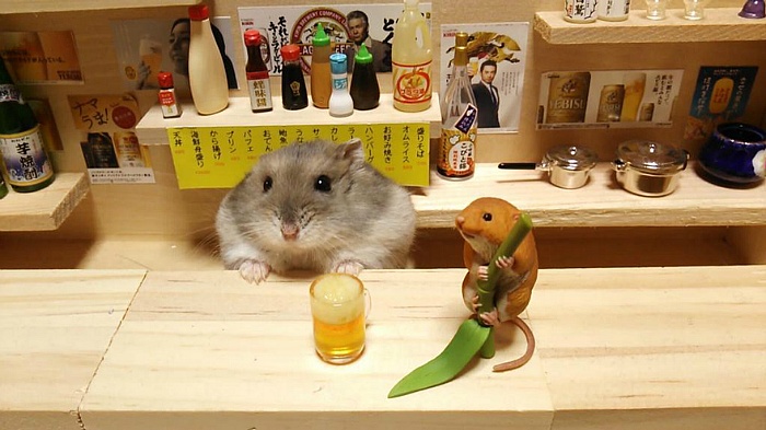 이** 이미지