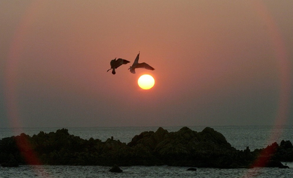 해도지 이미지