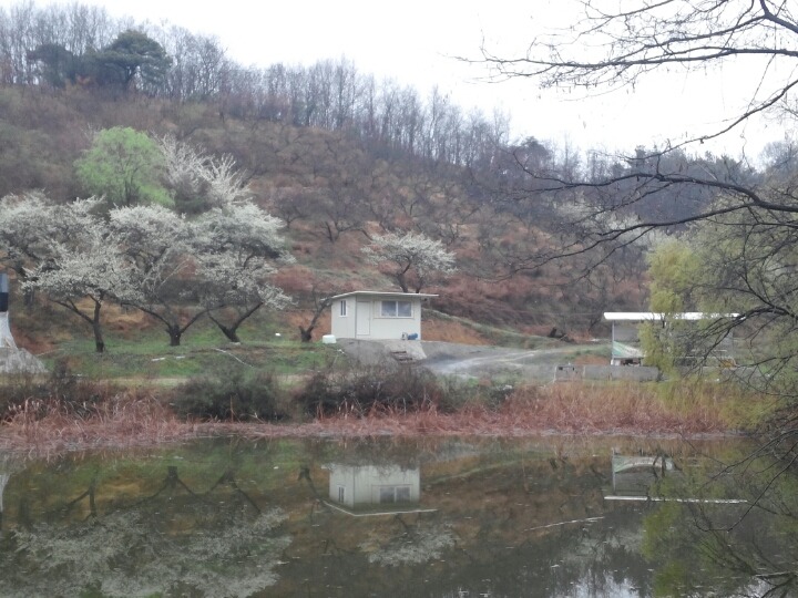 카페 쉼터 이미지