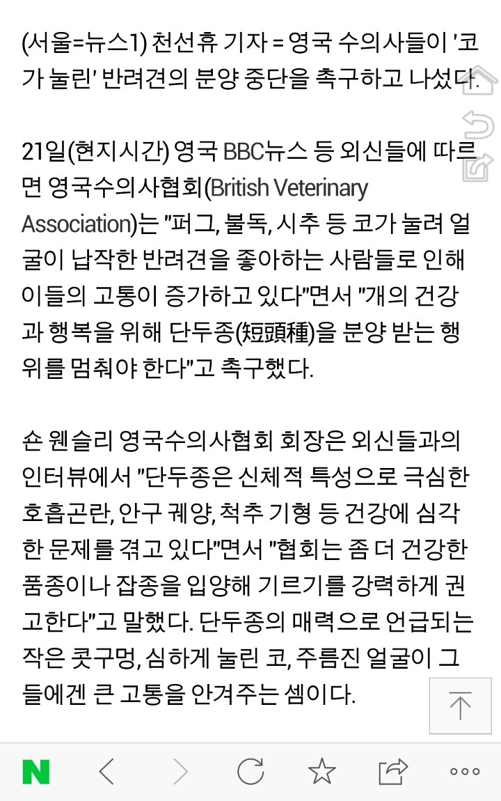 영국 수의사들 "코 눌린 개 키우지 마라" | 인스티즈