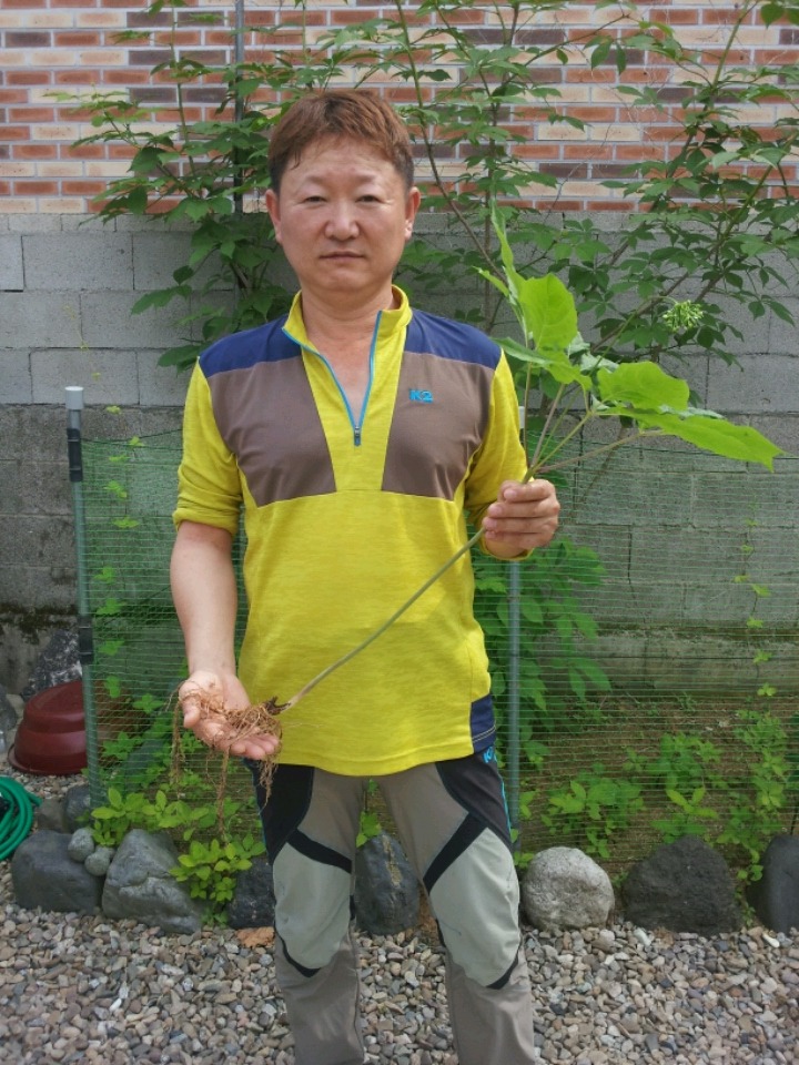 성삼이네 이미지