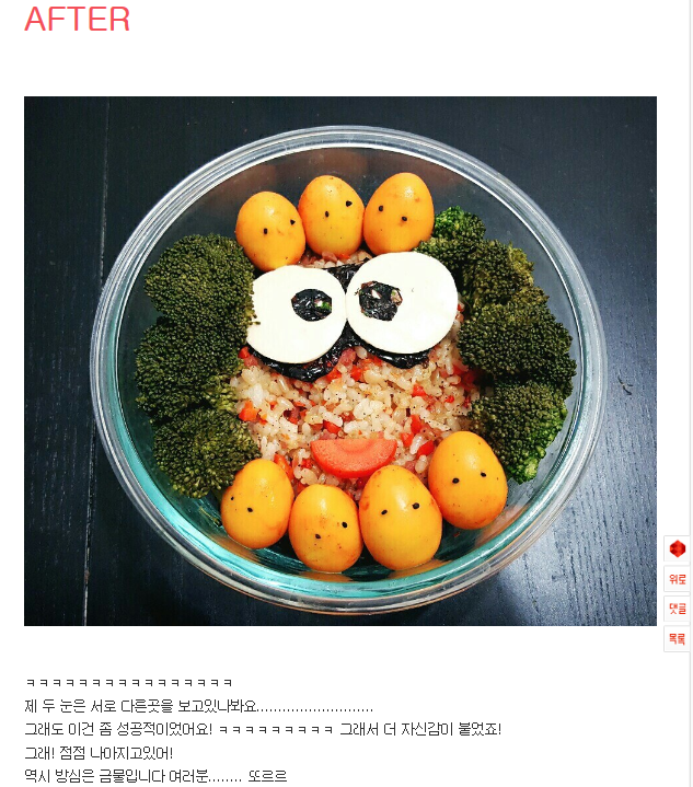 [판] 추가1) 손재주없는 새댁의 망한 도시락들ㅋ..ㅋㅋㅋ...ㅋ... | 인스티즈
