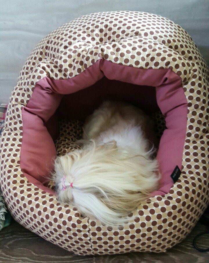 쁨이네 이미지