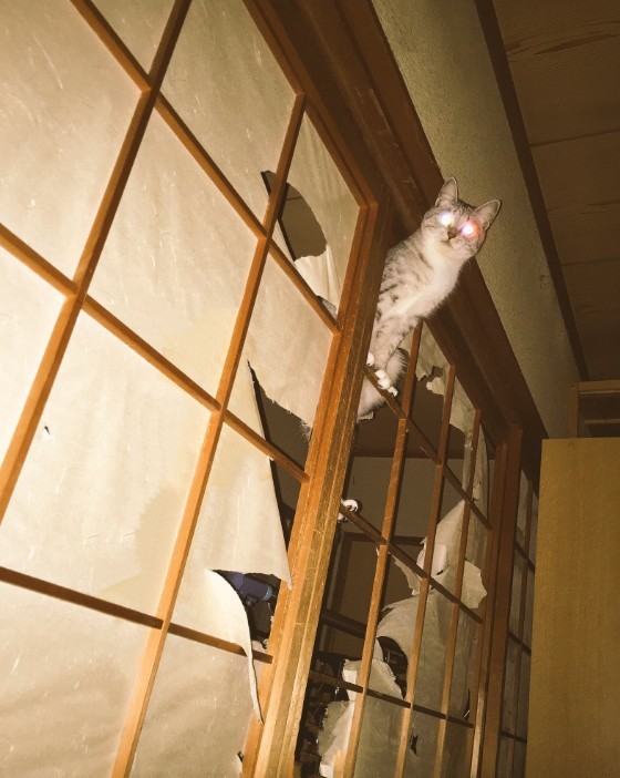 참는게 아냐 그냥 사랑스러운거야 | 인스티즈