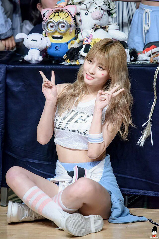반도장 이미지