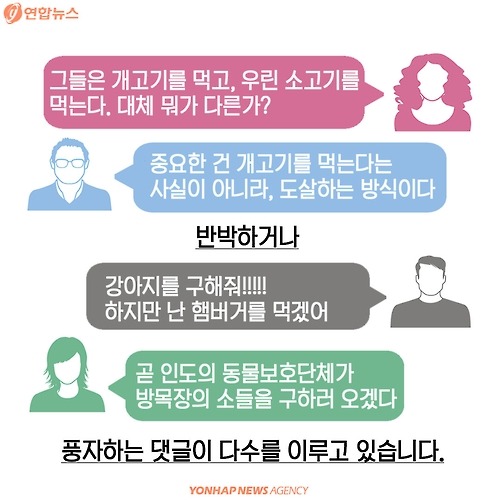 복날의 개를 좋아하세요? | 인스티즈