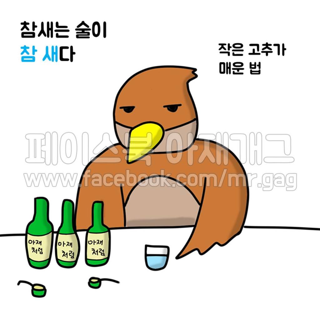 새들이 술 마실 때 | 인스티즈