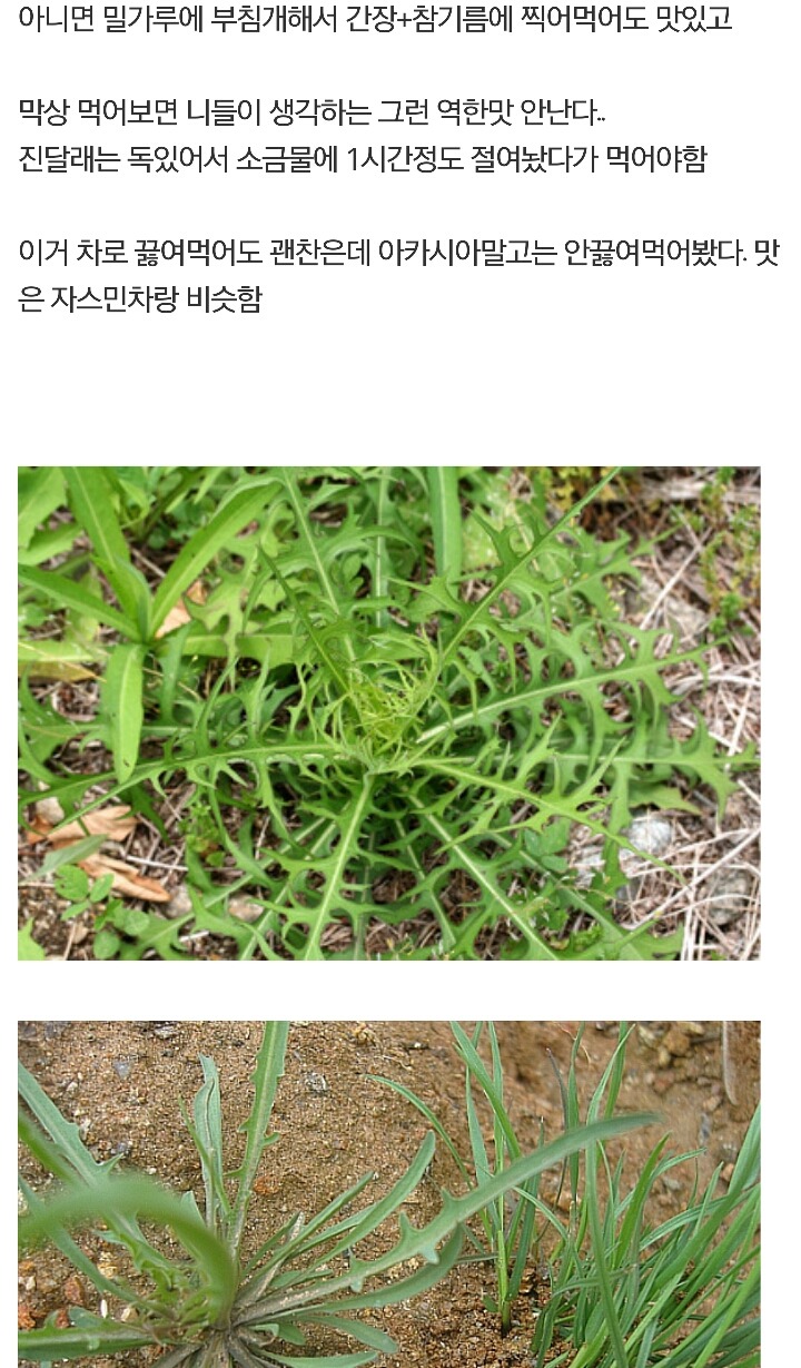 디씨에 새로 생긴 갤러리 | 인스티즈