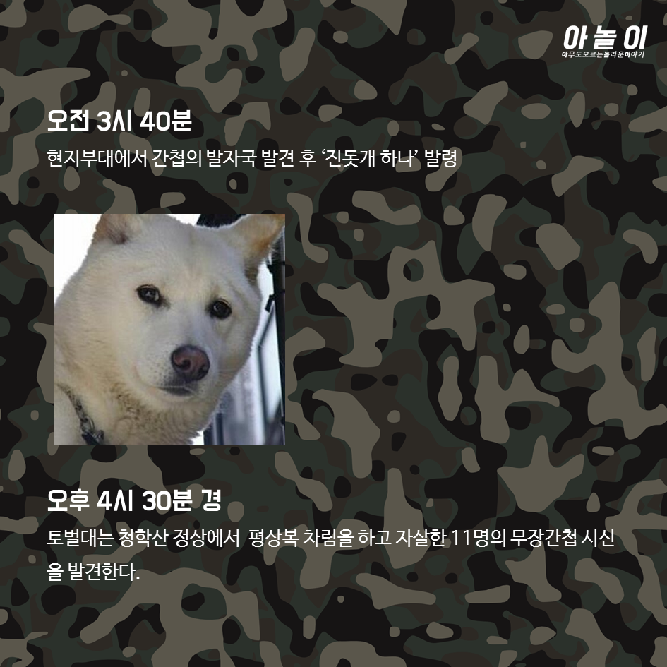 강릉지역 무장공비 사건의 전말 | 인스티즈