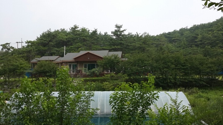 영월집 이미지