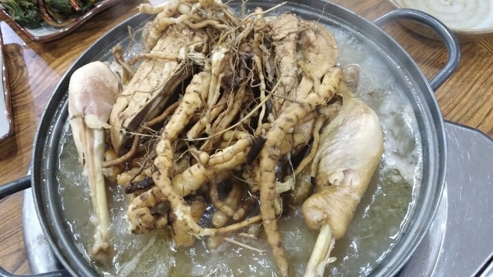 뜰안애 이미지